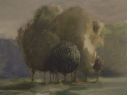 Roadside Trees, 2017, 50x45cm, oil on canvas*