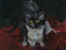 Kočky, 2015, 40x35 cm, olej na plátně